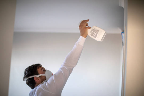 Reliable Jacksonville, FL Mold Remediation Solutions