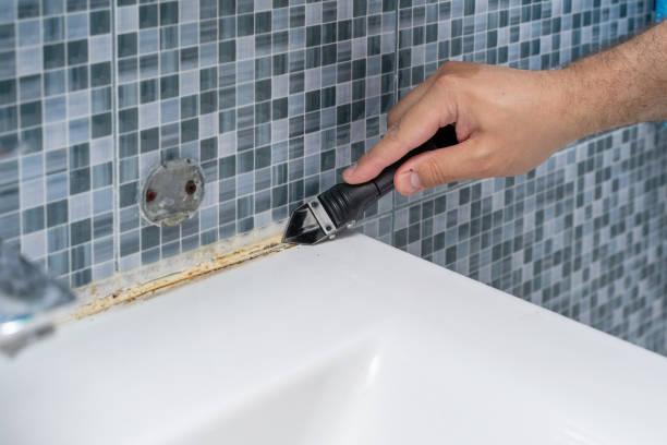 Best Kitchen Mold Remediation in Jacksonville, FL
